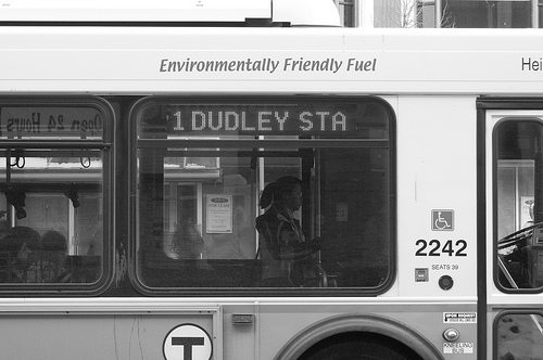 dudley-banner