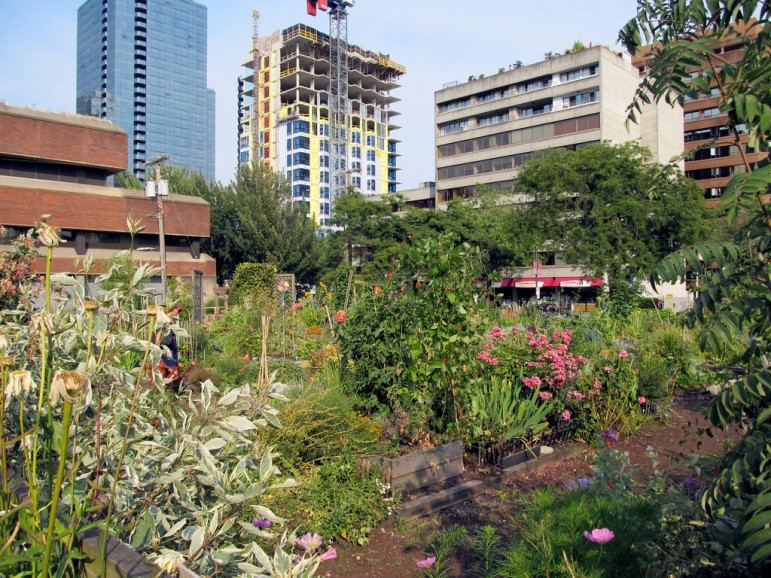 Urban-community-garden