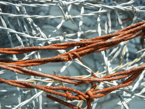 Rusty_Barbed_Wire