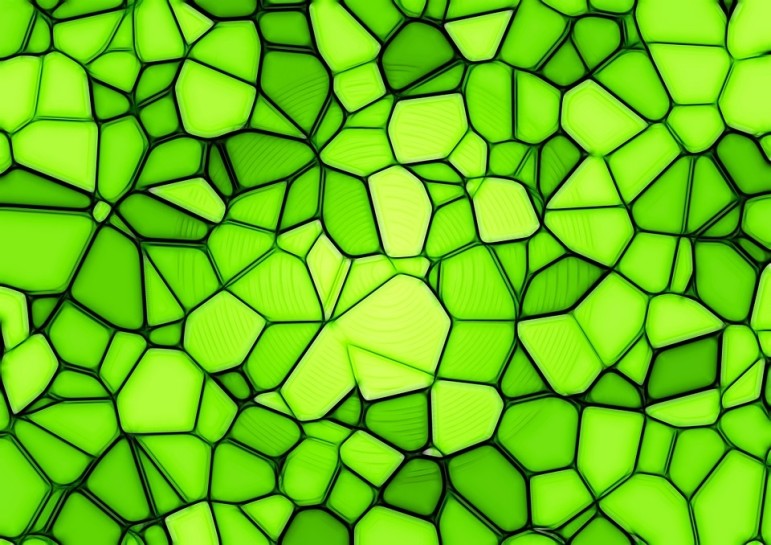 Green-mosaics