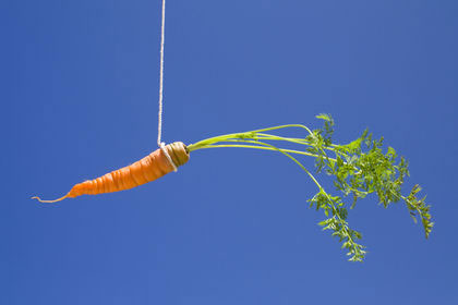 Dangling-Carrot