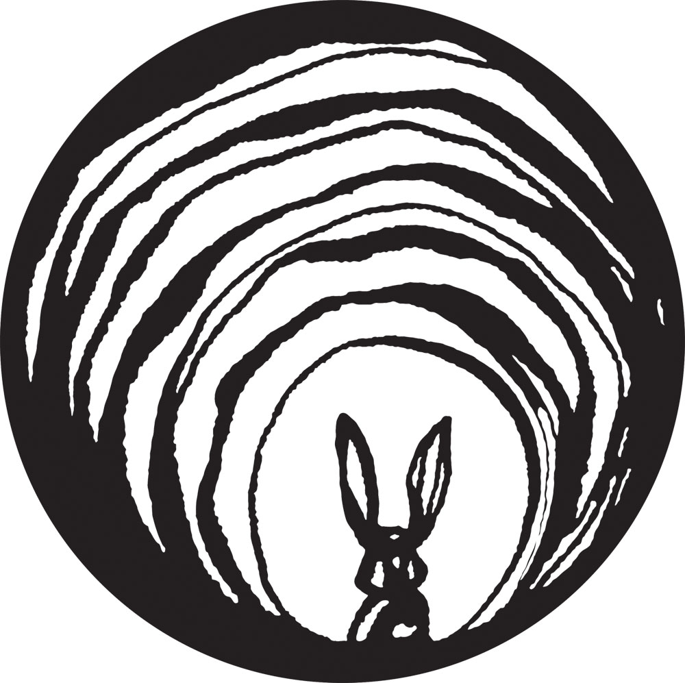 Image result for down the rabbit hole