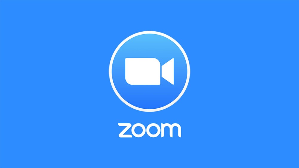 Zoom review