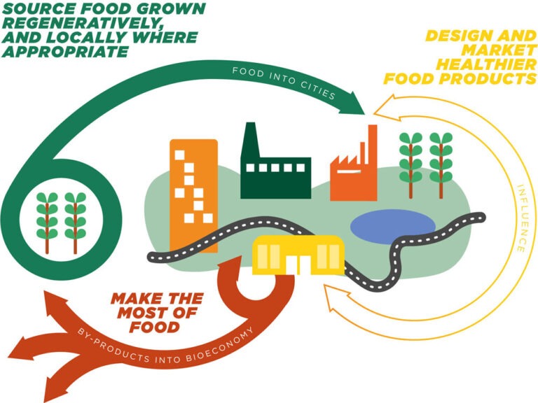 Local Food Systems Could Feed Us All—And Save the Planet | Nonprofit ...