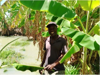 Eliot Nzarayebani, a Black man in a shirt and hat, in his banana farm in Gutuarare.