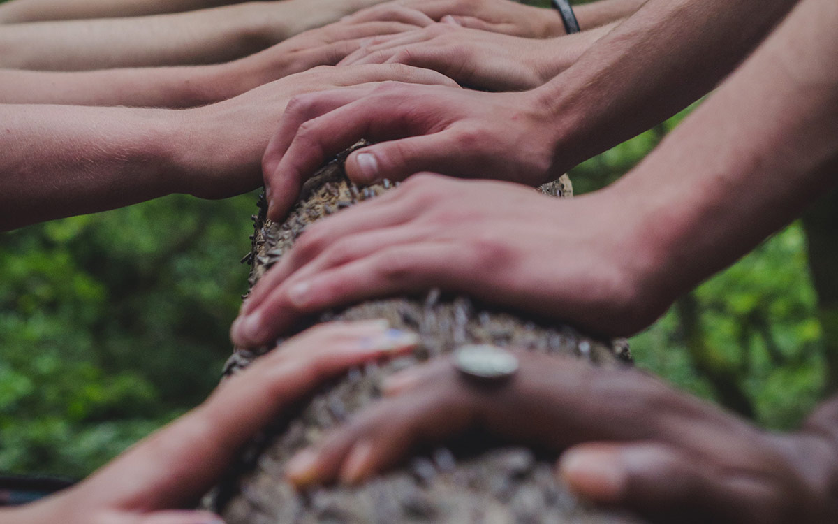 Many hands, in different skin tones holding onto the trunk of a tree.