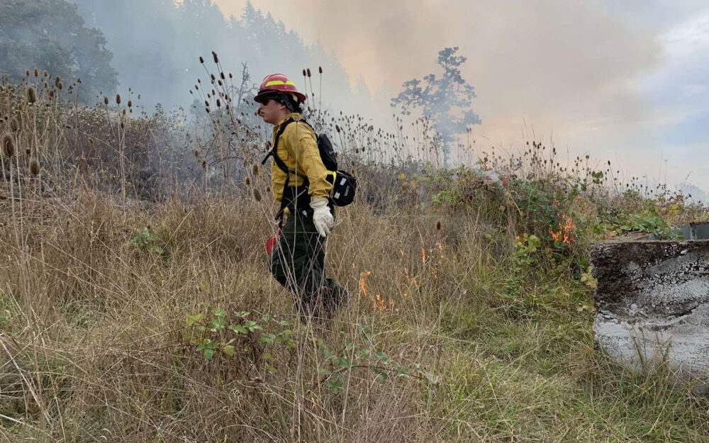 A fireman walking through a field of thick, dry grass. There is a plume of smoke behind him