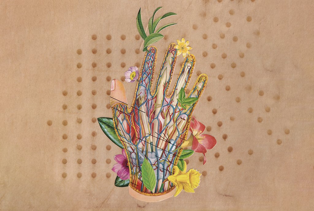 A collage of a medical hand diagram, showing the arteries and veins within a human hand, adorned with pink and yellow flowers.