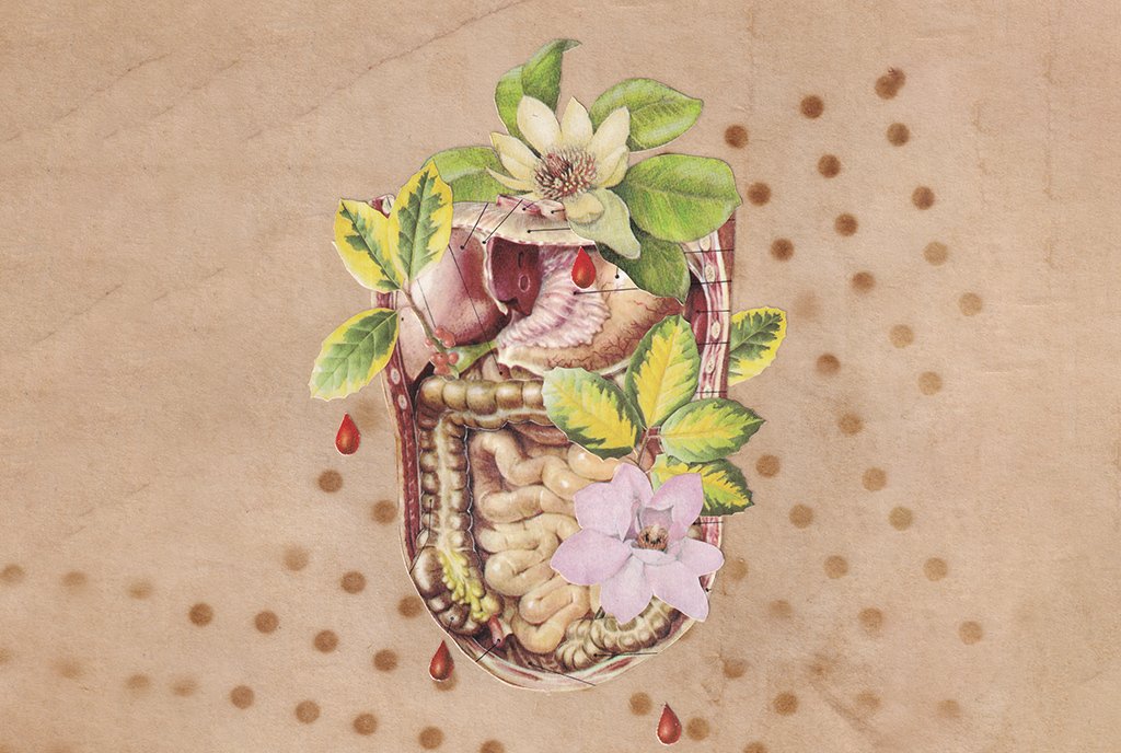 A collage of a medical gastrointestinal diagram, with green plants and pink and white flowers growing around the system. There are drops of red blood.