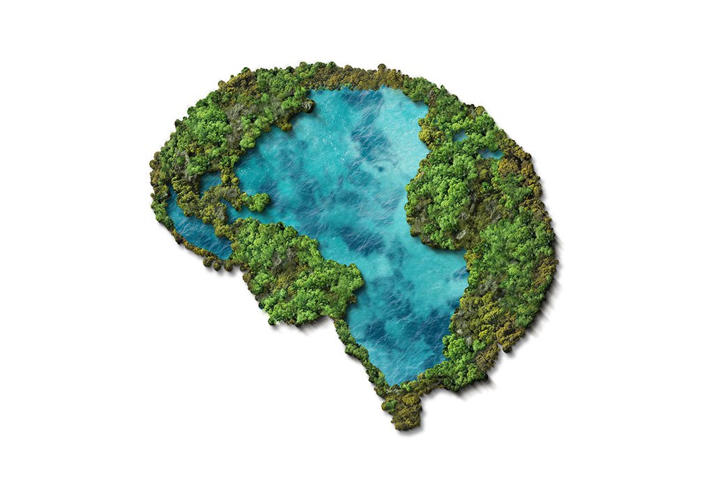 A 3D globe in the shape of a brain to represent mental health