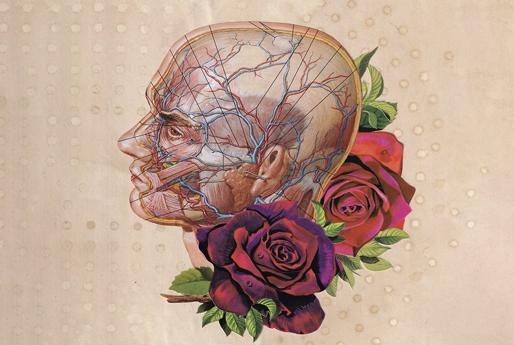 A collage of a medical diagram, showing the arteries and veins within a human head, adorned with large red and pink roses.