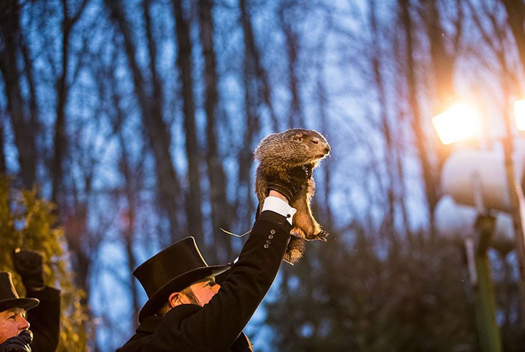 A member of the Groundhog Club's Inner Circle holding up Punxsutawney Phil in the air at a groundhog day ceremony.
