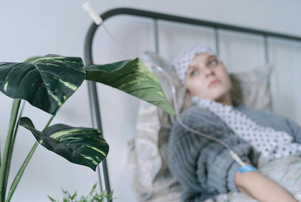 A cancer patient with a scarf covering her head lying in a hospital bed receiving an IV infusion. In the foreground, a plant grows in the light.