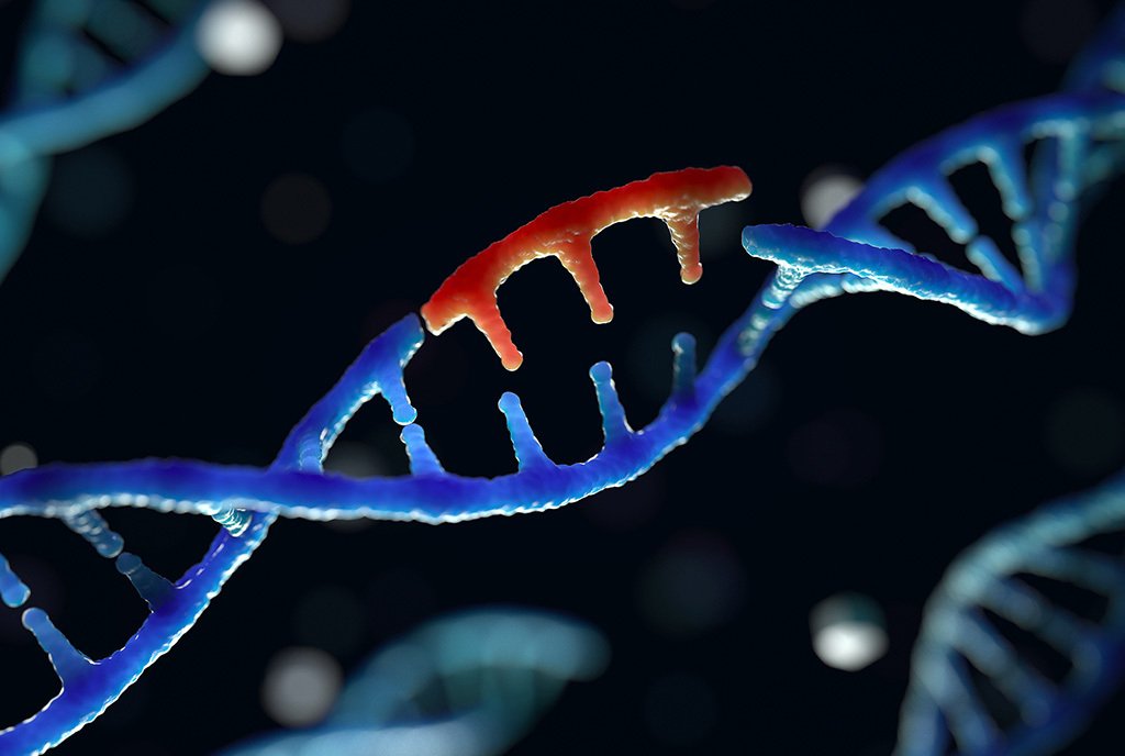 A virtual representation on gene editing, showing a blue DNA helix with a red section removed from the helix.