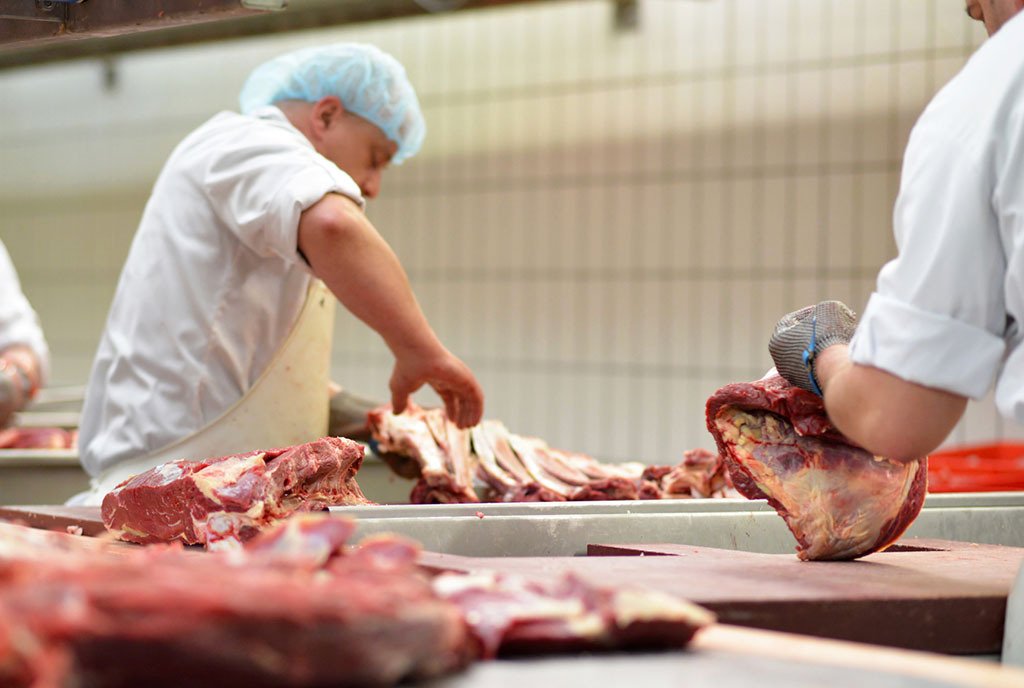 A crew of workers processes meat at a meat packing factory. There is raw meat in the foreground.