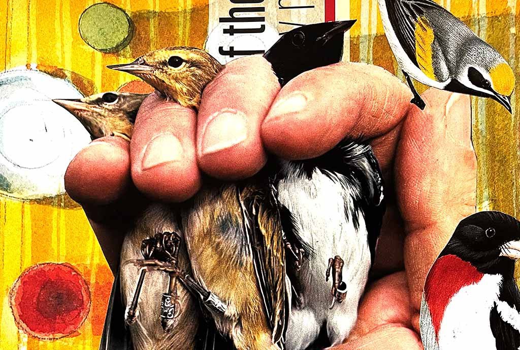 A collage of a human hand holding the necks of several colorful songbirds between their fingers.