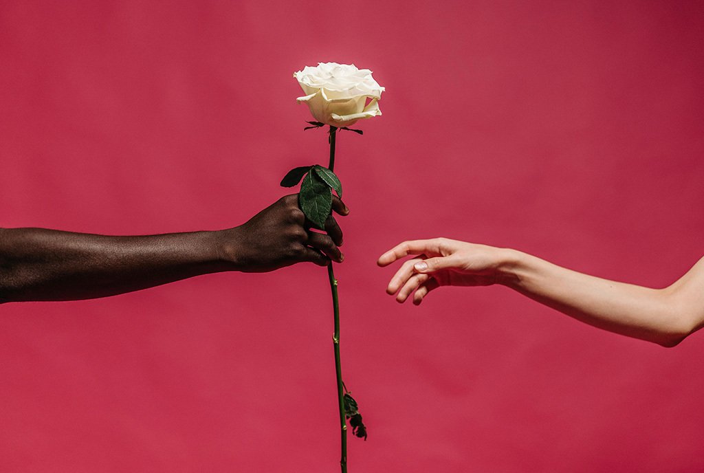 A Black hand holding a blooming white rose extending towards the receiving hand of a White hand. This is against a vibrant red background.