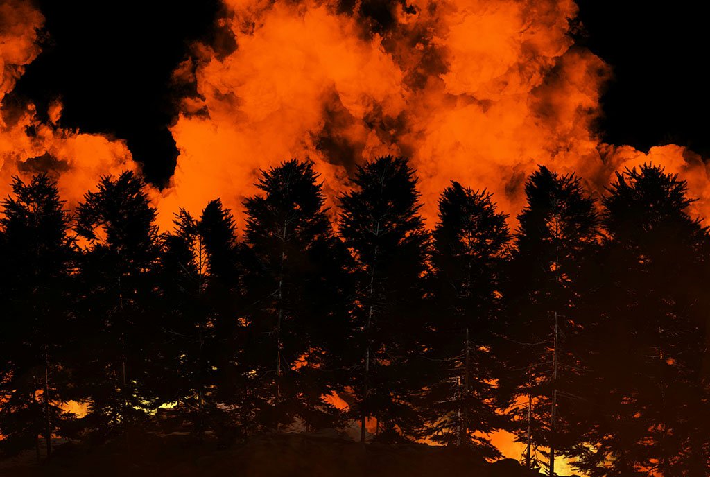 A sombre image of a forest fire raging at night, with black evergreens silhouetted in the foreground.