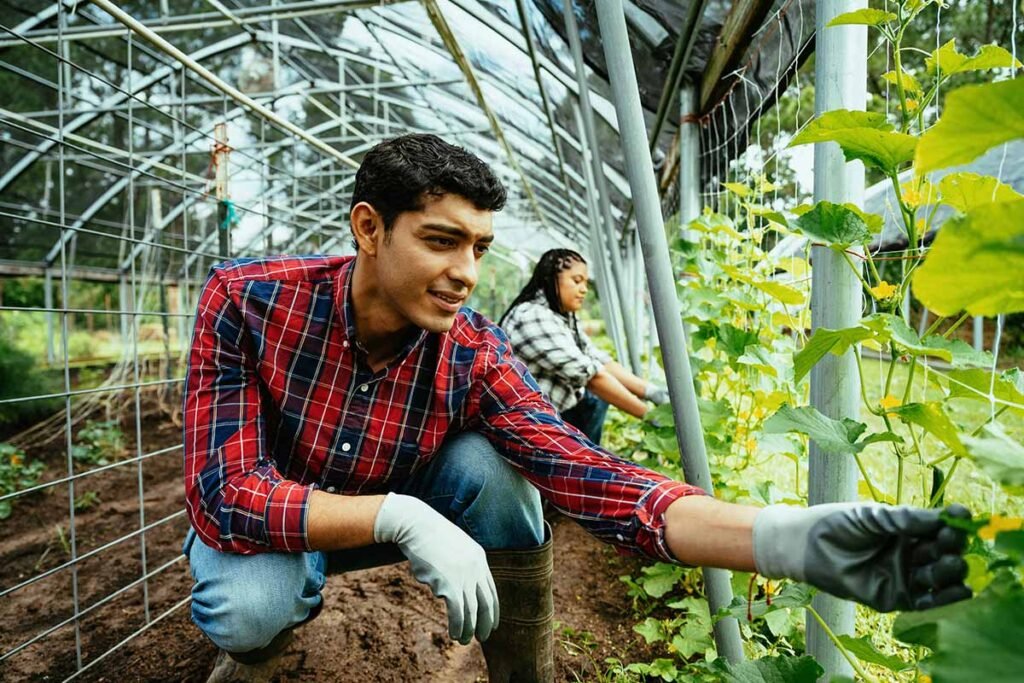 Community members harvesting crops on a shared farm, highlighting land stewardship, self-sufficiency, and cooperative spirit.