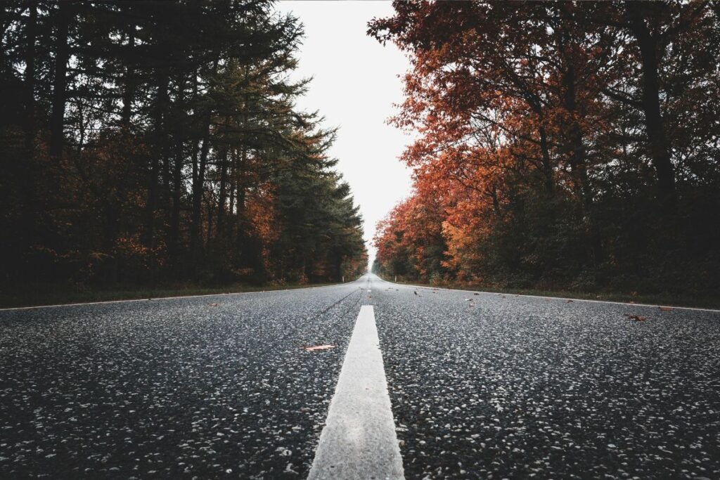 A straight, empty road lined with autumn trees stretches toward the horizon, symbolizing clarity, direction, and staying the course.