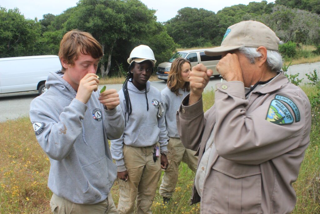 Three young AmeriCorps members in National Civilian Community Corps work with an older California land management official.