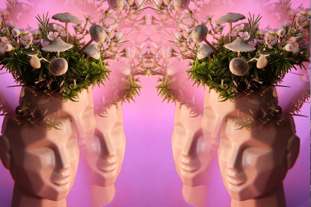 A patch of mushrooms and ferns growing from a mirrored model of a human head, symbolizing how people and nature exist together.