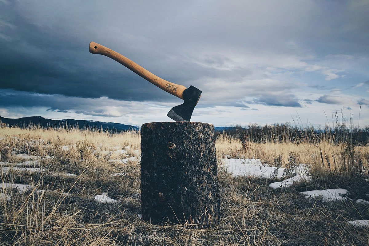 An axe blade in a tree stump, symbolizing the hard, but necessary choices to pivot staff, space, and funders.