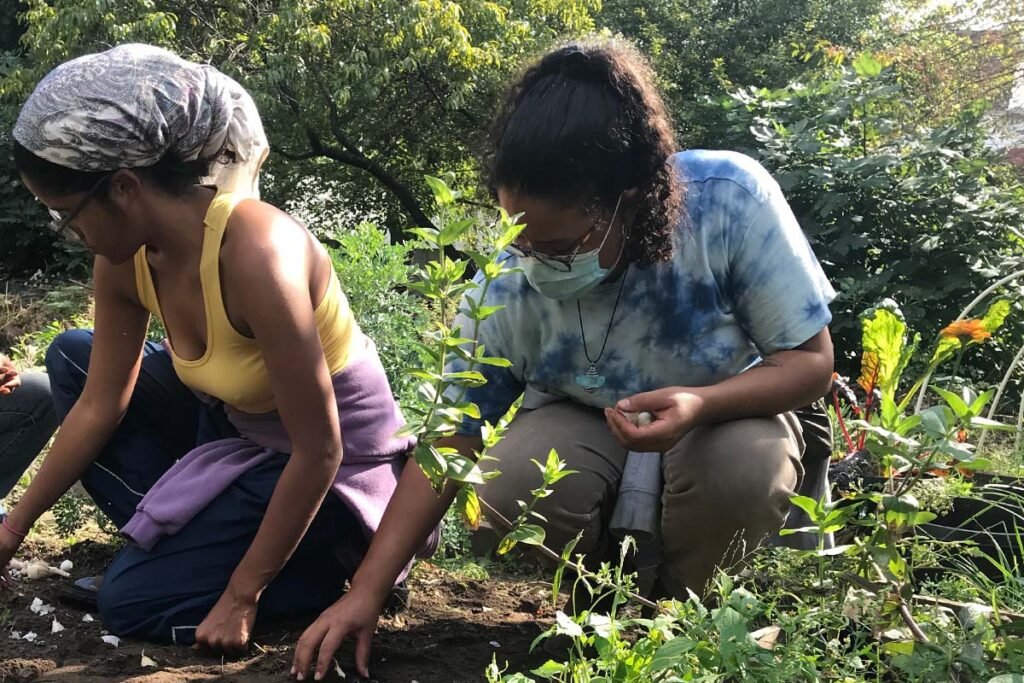 Participants growing garlic at the Farm School NYC. 2025.