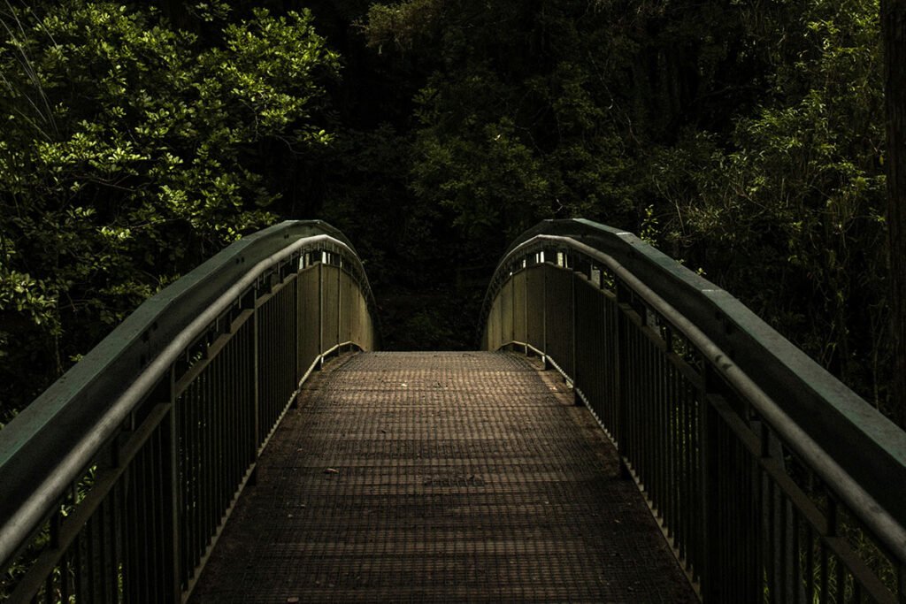 A wooden bridge leading to an forested area, representing how personal investment should be a bridge, not a business model.