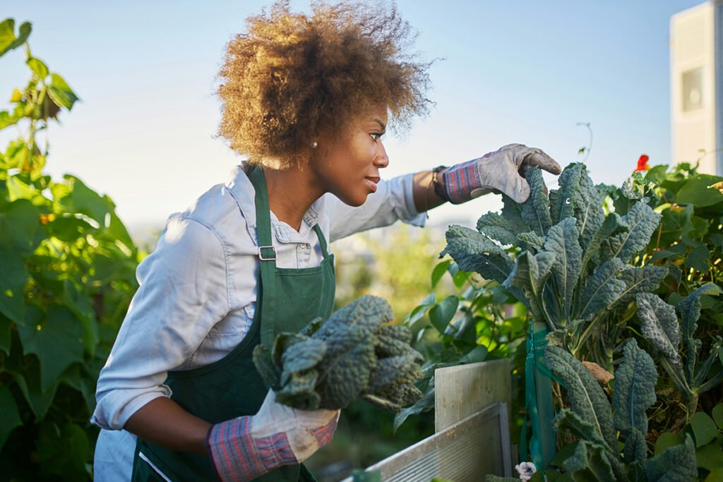 A Black woman farmer reaching over to inspect leafy greens on a farm, representing the co-ops that allow Black farmers to retain control over decisions.