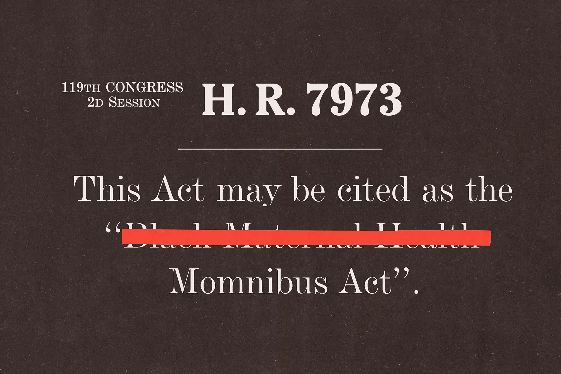 The Momnibus Act was previously known as the Black Maternal Health Momnibus Act, but the word 'Black' has been removed from the title and appears only once across the latest package. (Emily Scherer for The 19th)