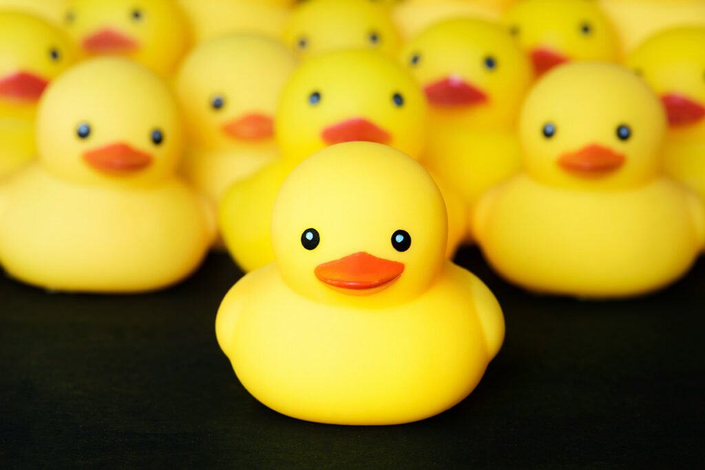 A single yellow rubber duck standing out in front of many identical rubber ducks.