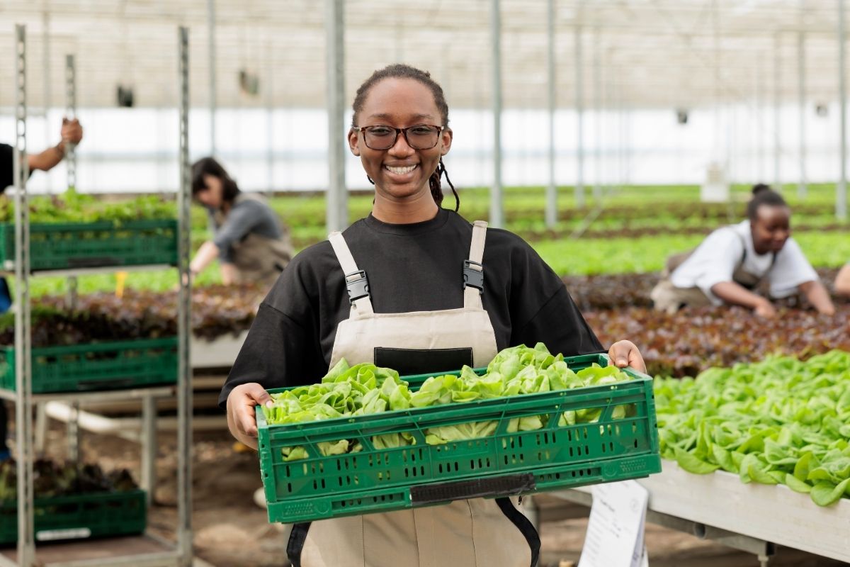 A young Black woman smiles while holding a crate of fresh lettuce in a greenhouse, with coworkers tending to rows of greens behind her.