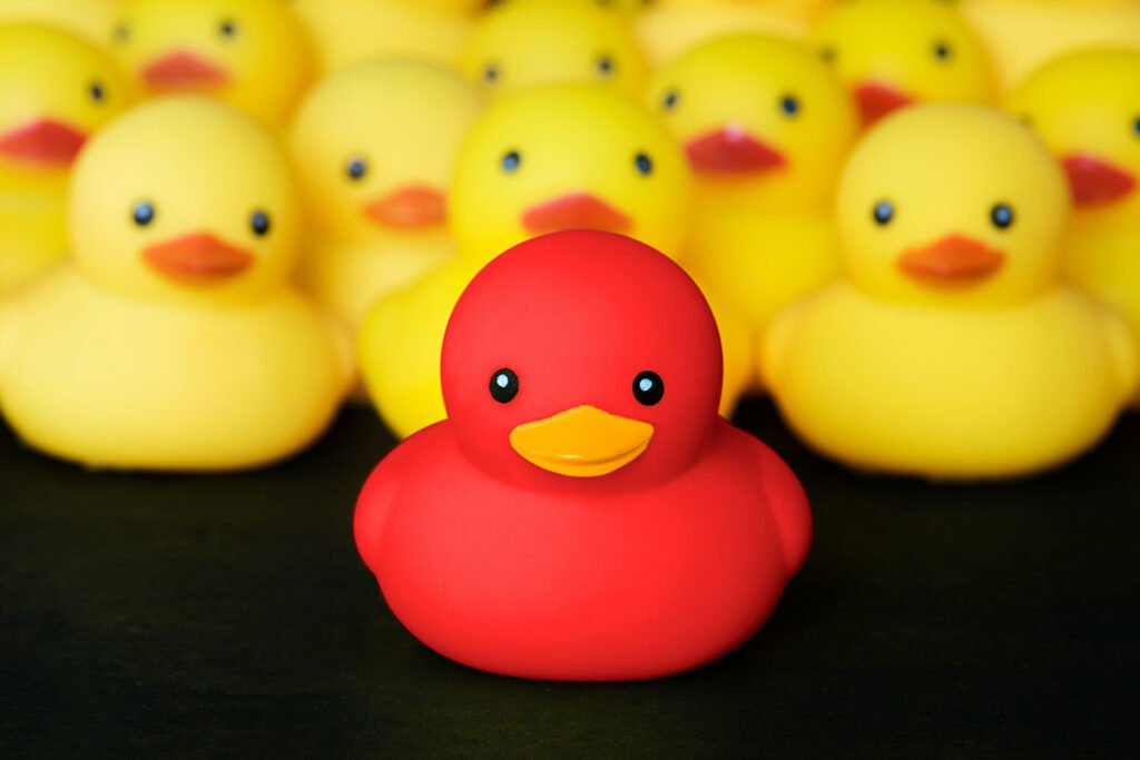 A lone red rubber duck, positioned in front of a mass of yellow rubber ducks.