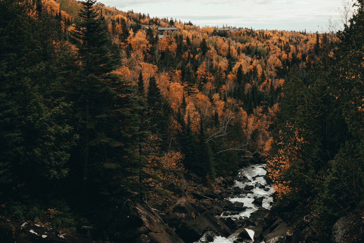 A stream runs through pristine forest near Lutsen, Minnesota, part of the wilderness landscape at the center of conservation efforts in the Boundary Waters region.