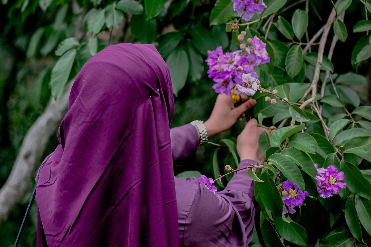 A woman in a purple hijab turns her back to the camera, as she handles delicate purple flowers growing on a bush.