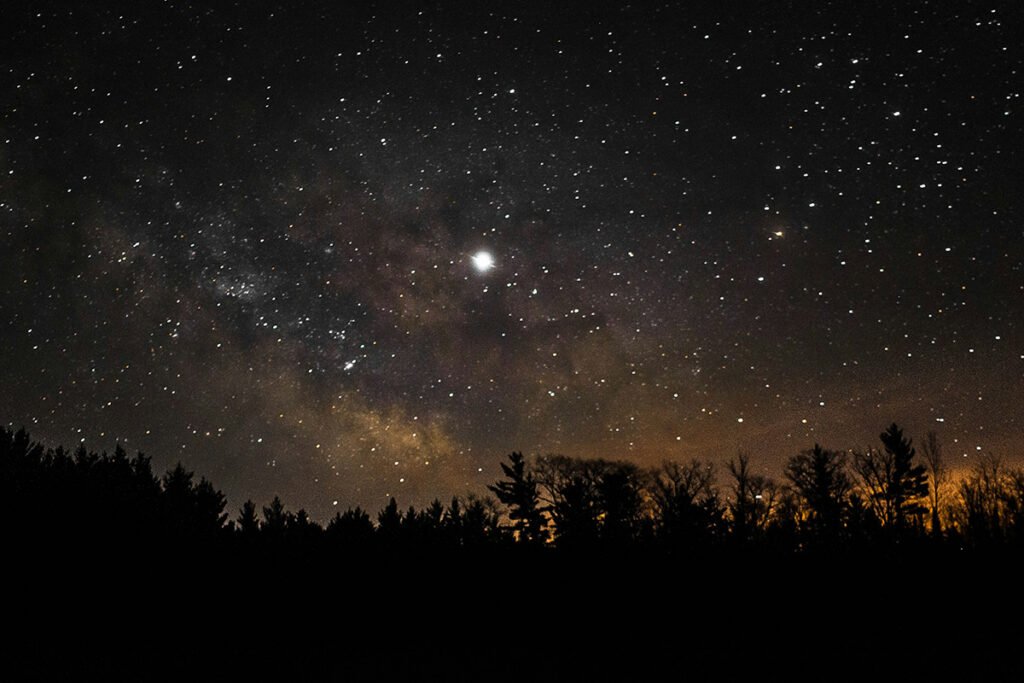 A night sky full of stars, with one star glowing much birghter than the others. Below, a tree line is silhouetted against the sky.