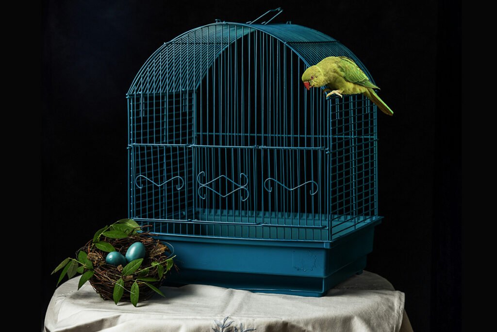Beyond Captive Care: Philanthropy, Revolutionary Love, and the Risk of Solidarity