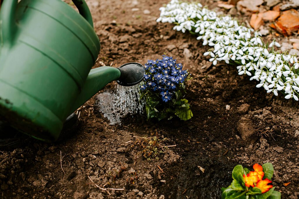 A person watering a bed of flowers with a green watering can.