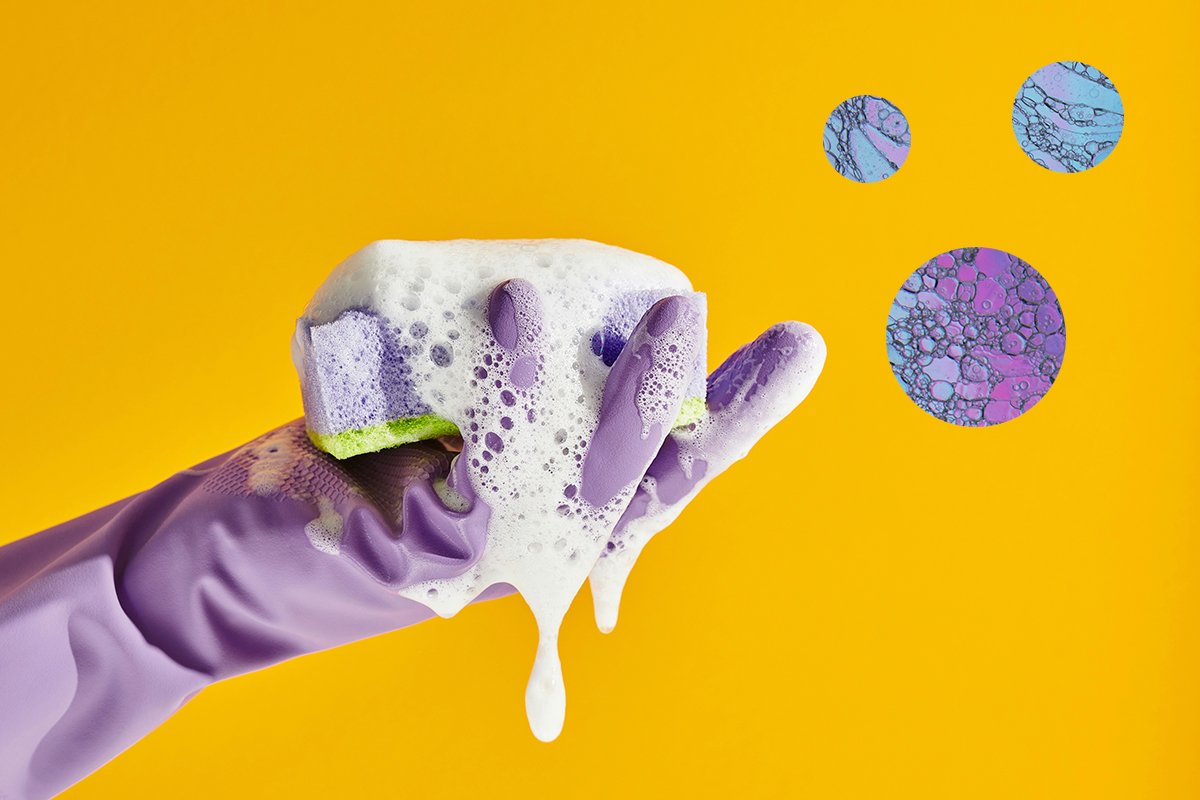 A person with purple latex gloves holding up a fully-saturated sponge, with no capacity for absorption.