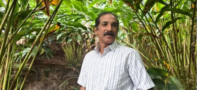 K.V. Paulose, a spice farmer from Idukki, Kerala, India, at one of his cardamom fields