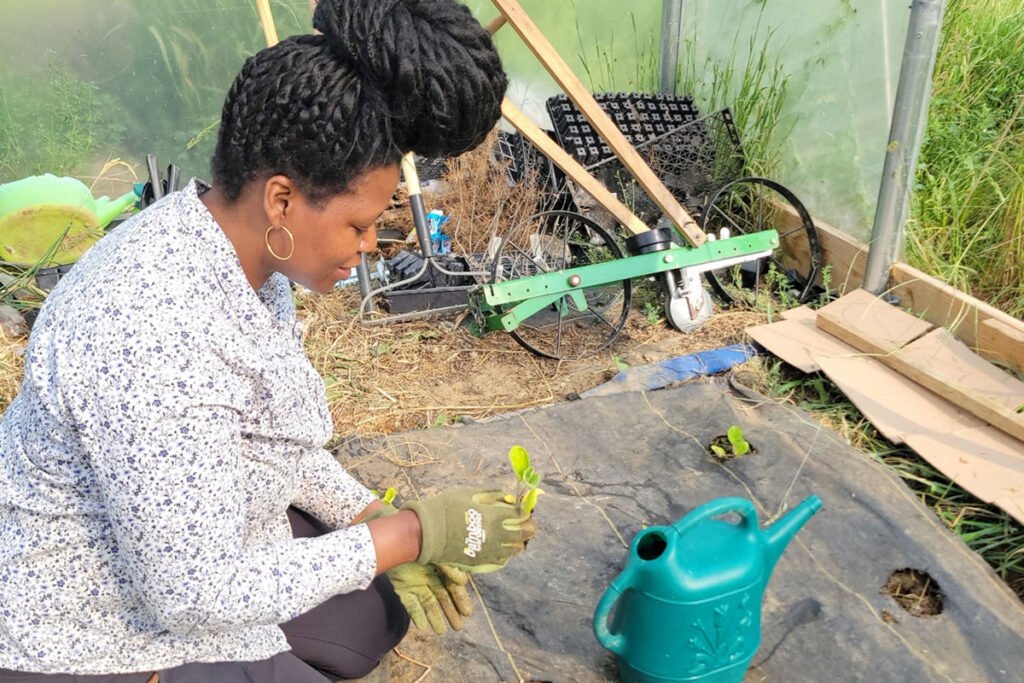 What Are We Owed? Land As Our History and Future