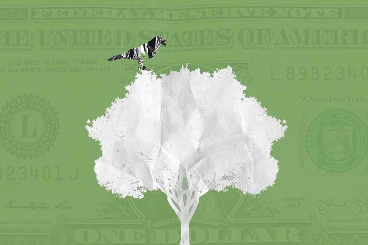 A paper cut-out composite of a bird sitting atop a tree, with a dollar bill lightly superimposed over the background.
