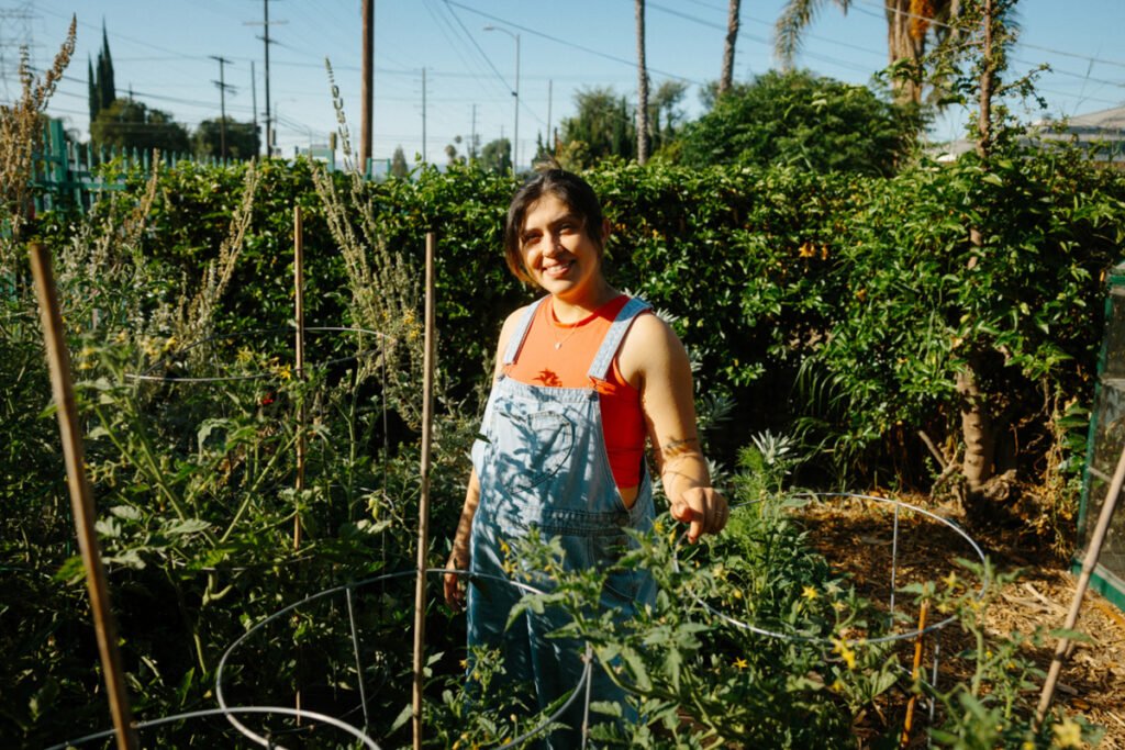 ‘Get your hands in the soil, leave with fresh produce’