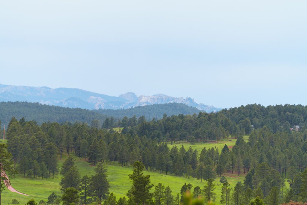 LANDBACK and protecting the Black Hills should be a priority this campaign season