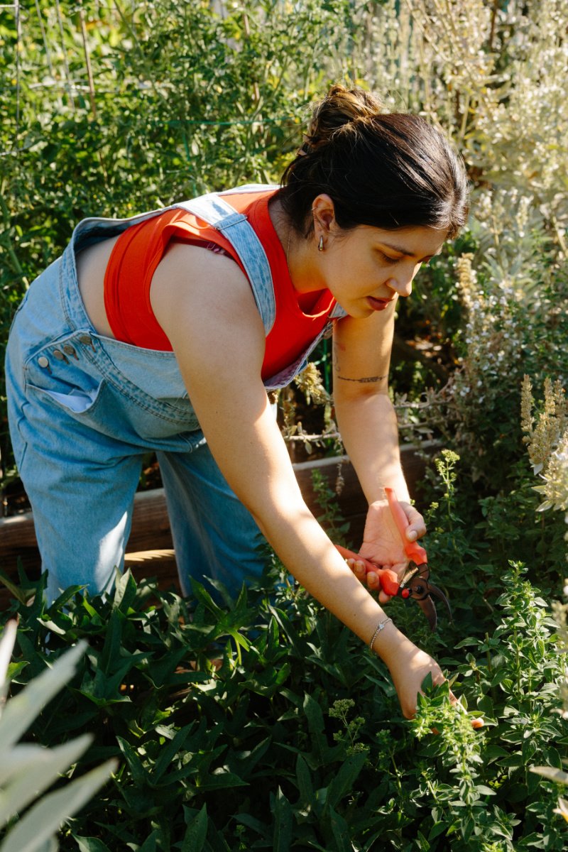 ‘Get your hands in the soil, leave with fresh produce’