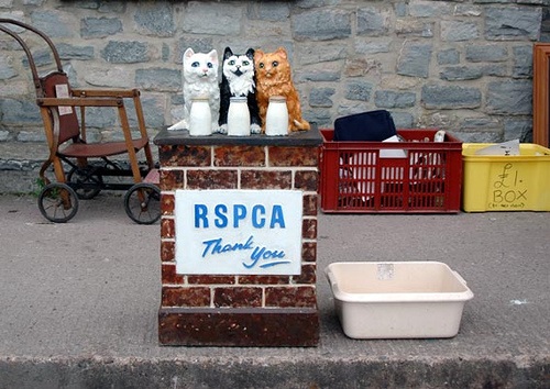 RSPCA