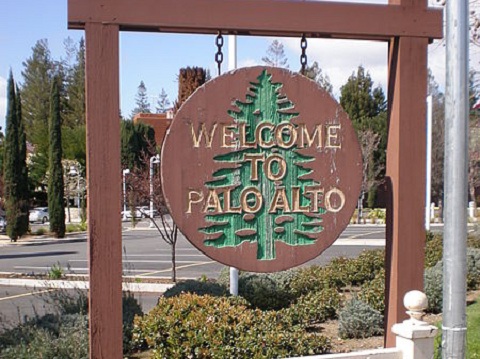 Palo