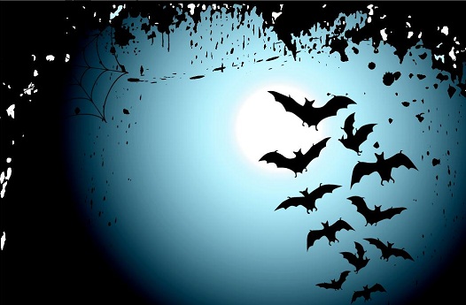 Bats